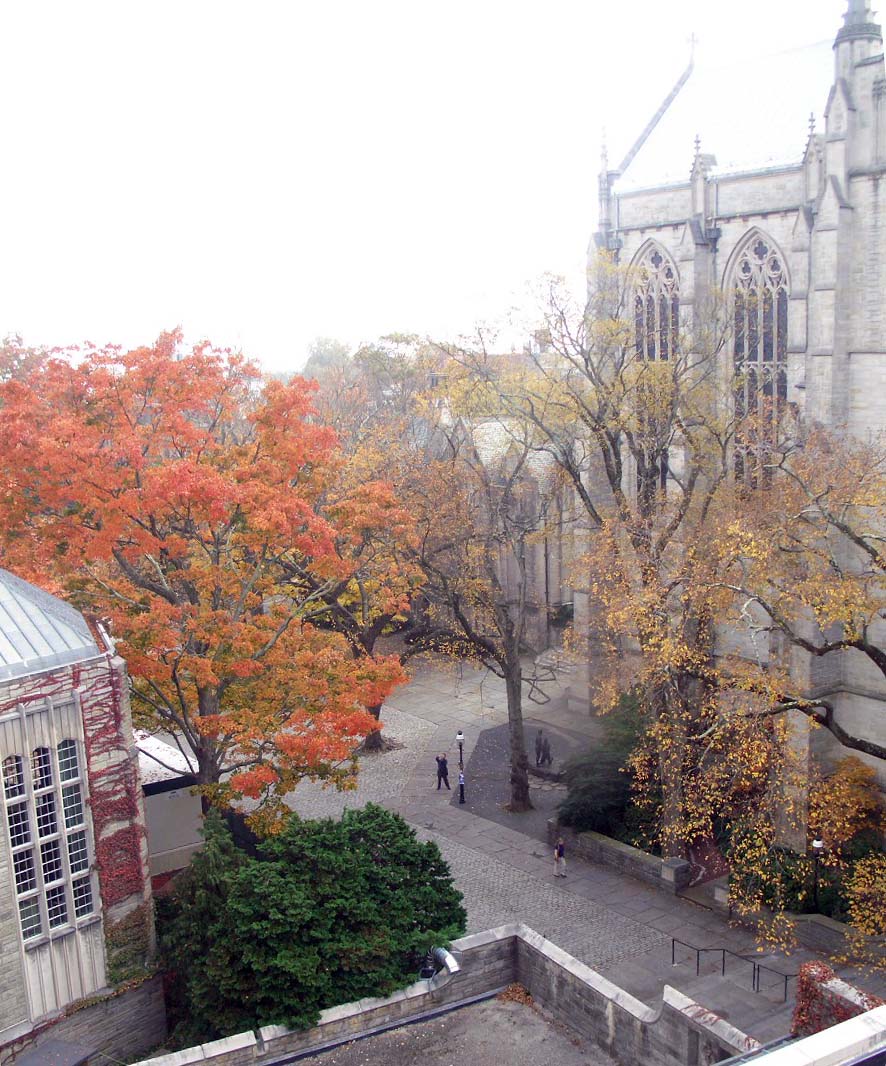 ../../../images/tower view4.jpg